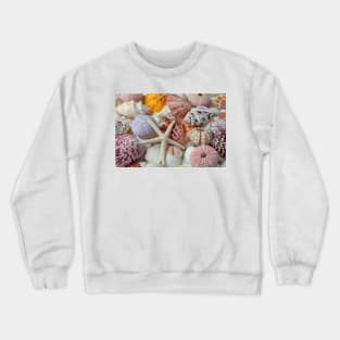 White Starfish With Sea Urchins Crewneck Sweatshirt